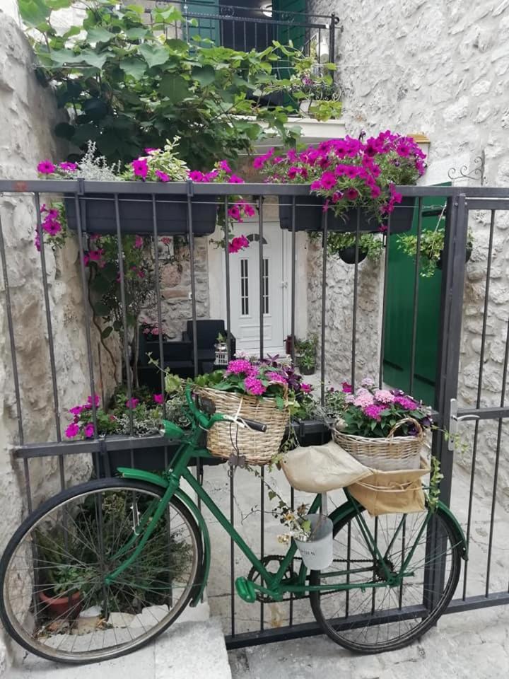 Apartman Teta Jadre Μακάρσκα Εξωτερικό φωτογραφία